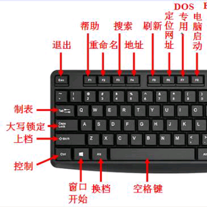 新手小白零基础快速学电脑头像