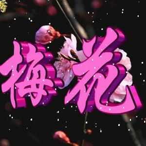 雪后梅花头像