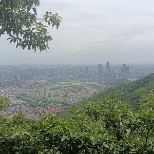 大橙谈事件头像