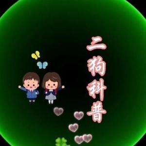 二狗科普头像