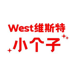 维斯优品女装店头像