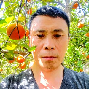 开心农场头像