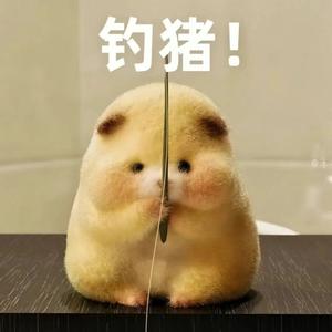 沫沫子头像
