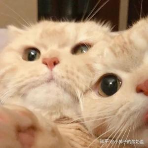 事件速递员头像