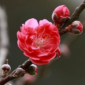 MYJ1957头像