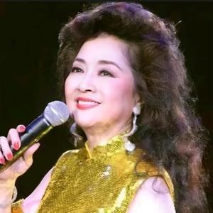 凤舞九天头像
