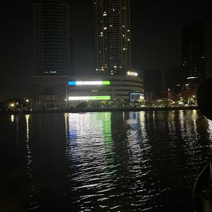 逐光前行者头像