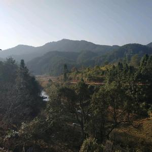 风平浪大头像