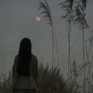 GAO是鱼儿吖头像