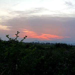 枫林忆梦头像
