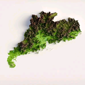 认知底驿站头像