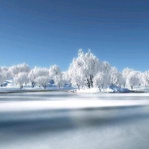 清晨的雪668头像