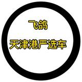 飞鸽天津港严选车头像