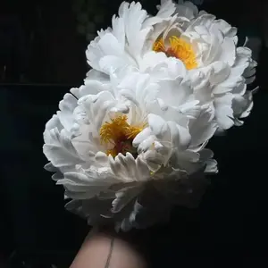 花艺手作头像