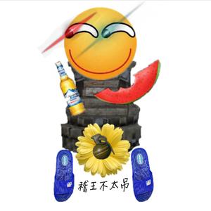 稽王不太屌头像