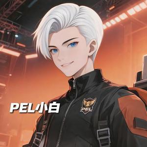PEL小白游戏头像