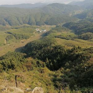 每天心情要美美哒头像