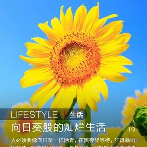 勇者艾伦6b2头像
