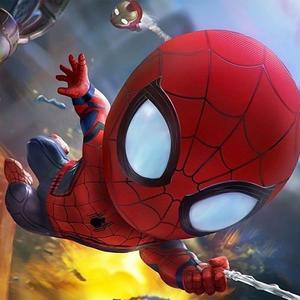 Spiderfly头像