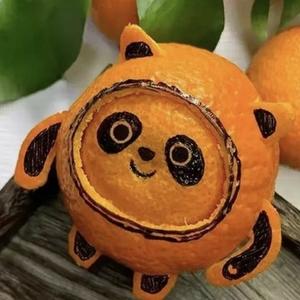 安先玍头像