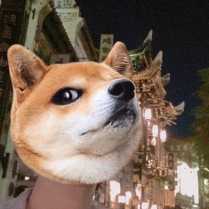 术尔头像