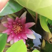 爱家科里6Zi头像