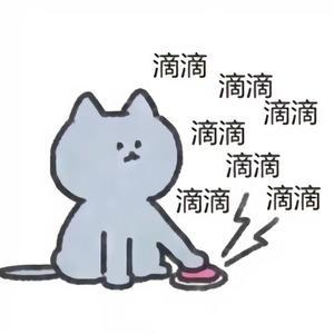 摆烂追剧猫头像