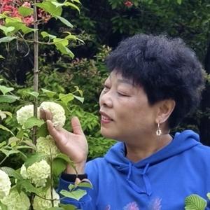 开心屋（60年的老鼠）头像