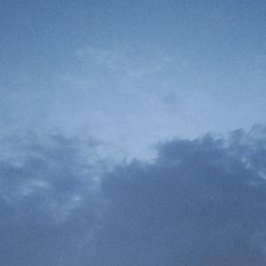 秋月鸭头像