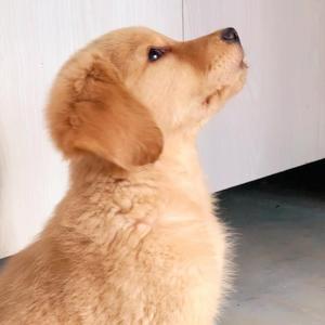 小韩吃饭好慢头像