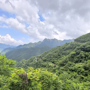 小静头像