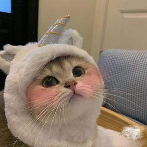 CS2猴逆天头像