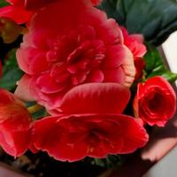 舞动瓦房店2k7头像