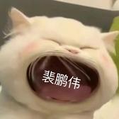 方方方30头像