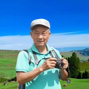 xj伯乐头像