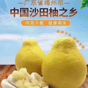梅州大埔佳果园水果店头像