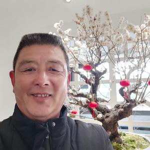 聪明精灵q头像