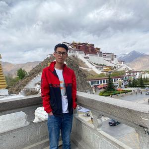旅行者大牛头像