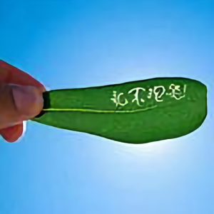 厚德载物40057316头像