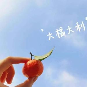 LlzOgfa头像