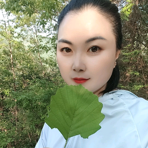柞水慧慧头像