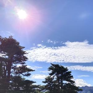 把心放宽头像