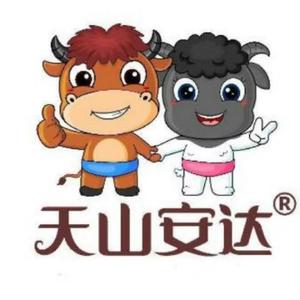 天山安达头像