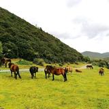 优美正直吉恩3V头像