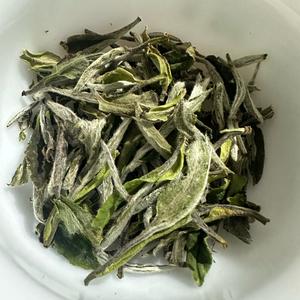 白茶【溪山雁】头像