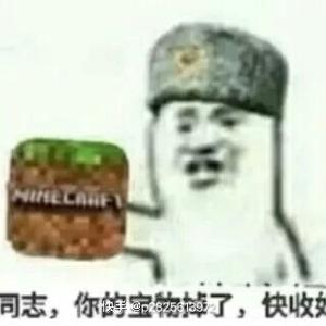 王嵩睿我的世界生存 头像