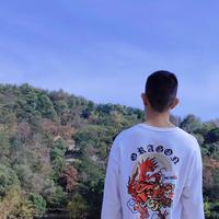 自由的梦QI头像