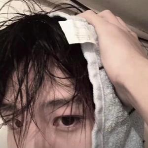 摆烂猫猫头像