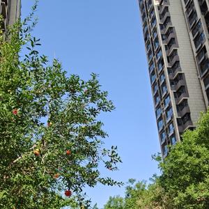 追阳赶光头像
