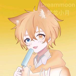 Dreammoon梦龙小月头像